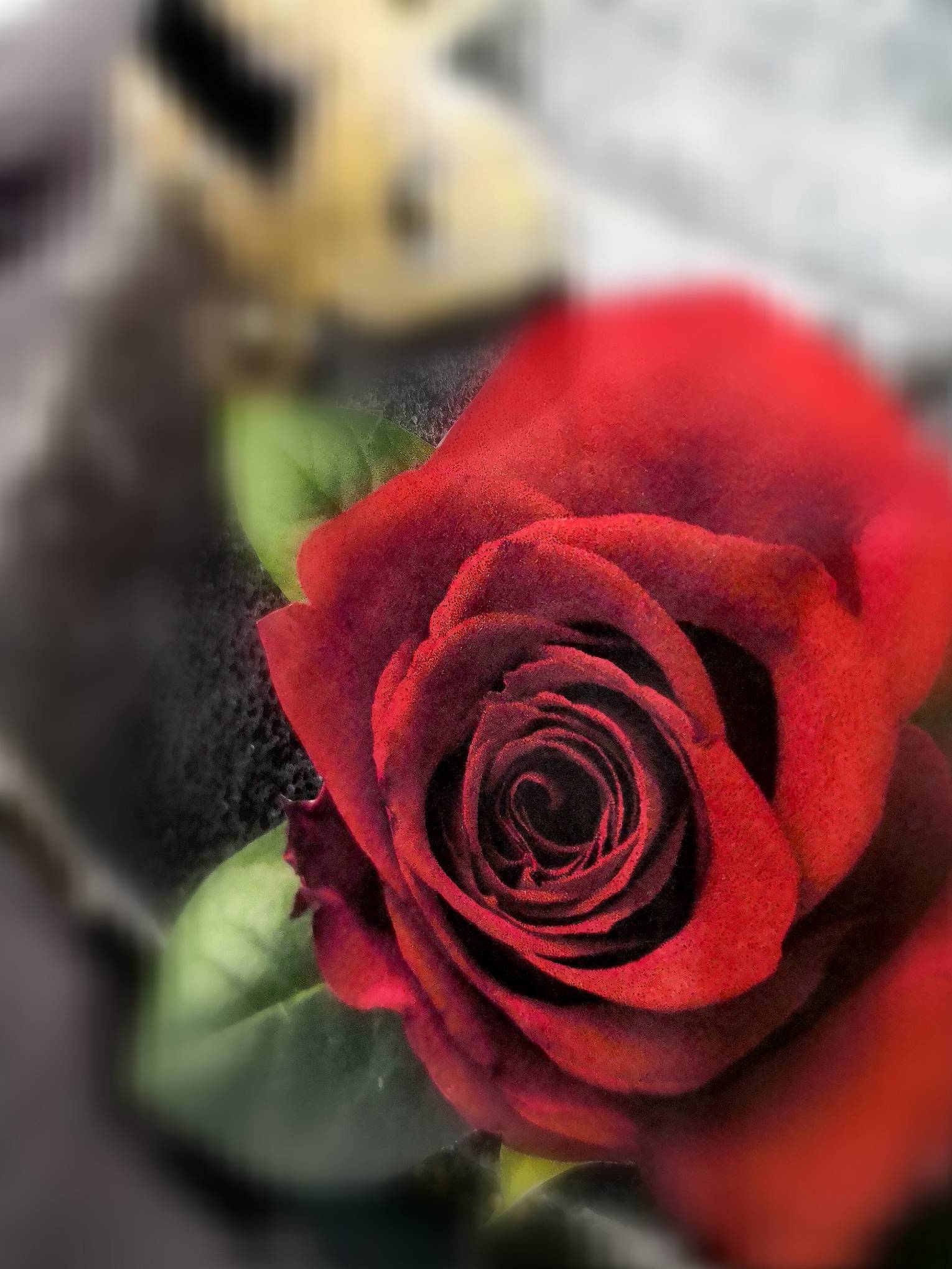 Sant Jordi