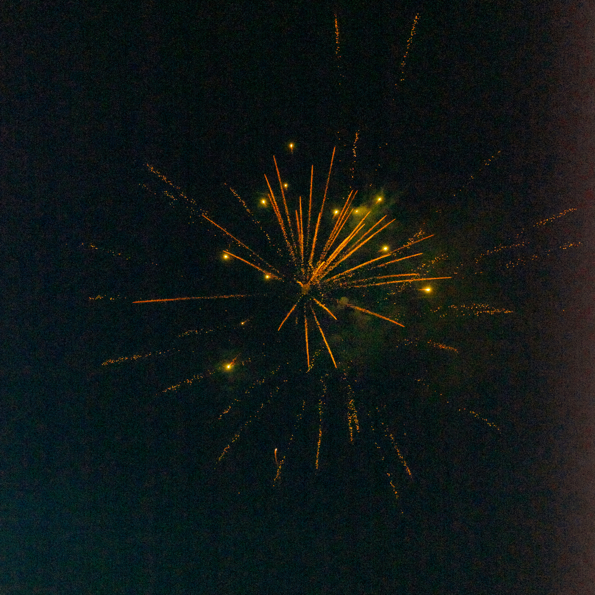 Ramassa 20250621 2945