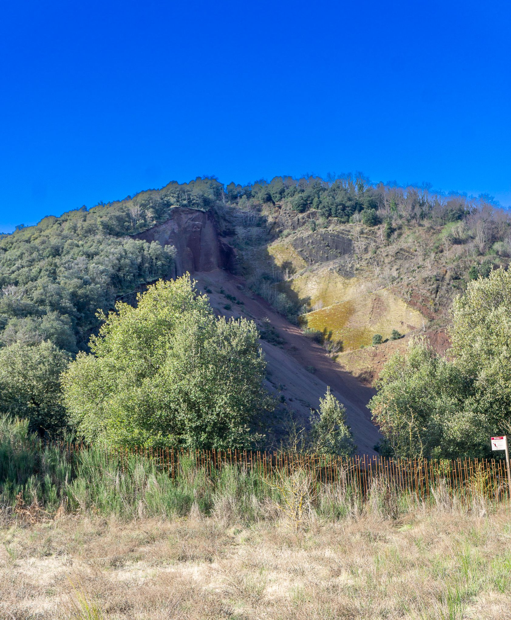 DSC05061