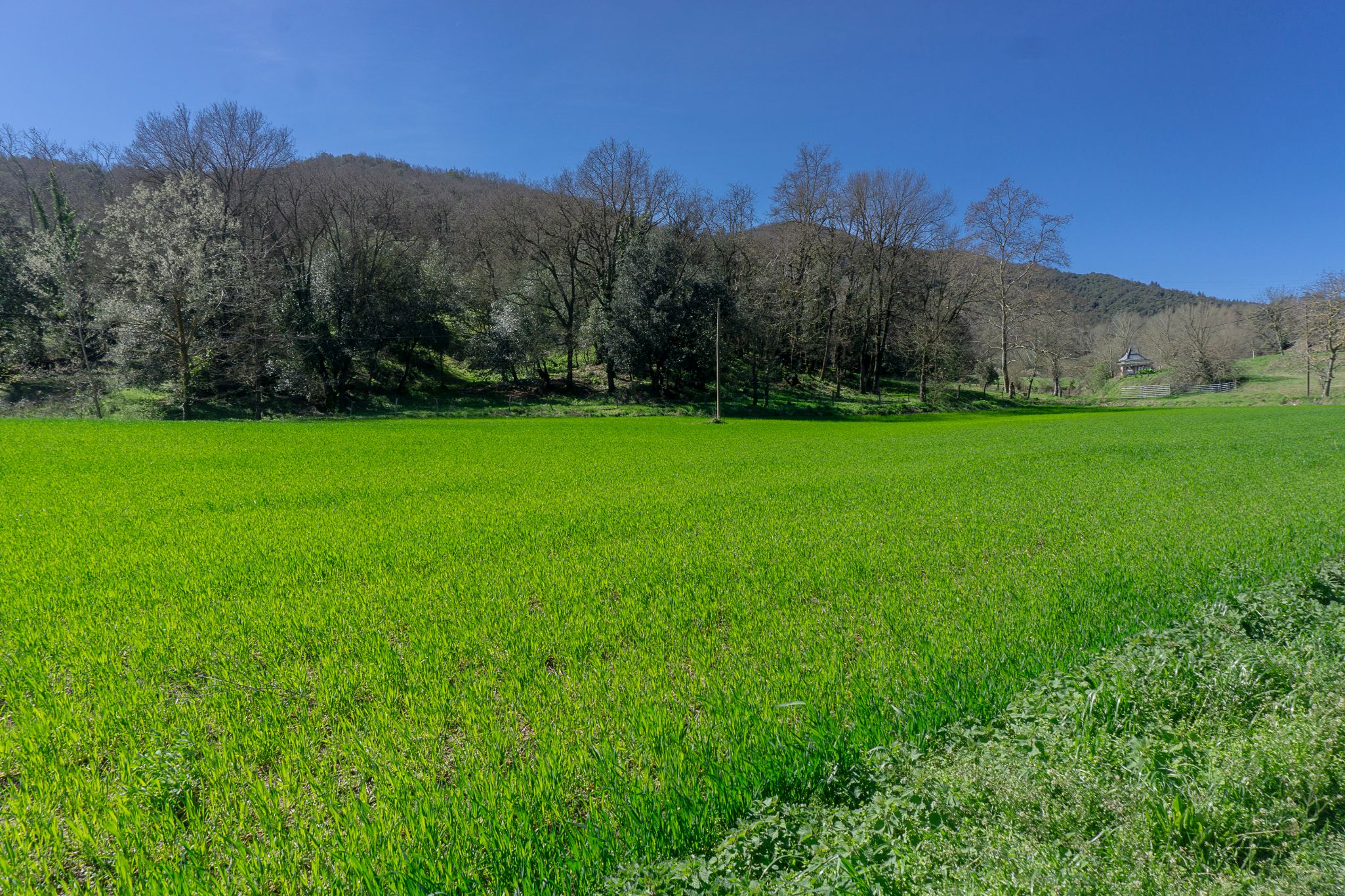 DSC05085