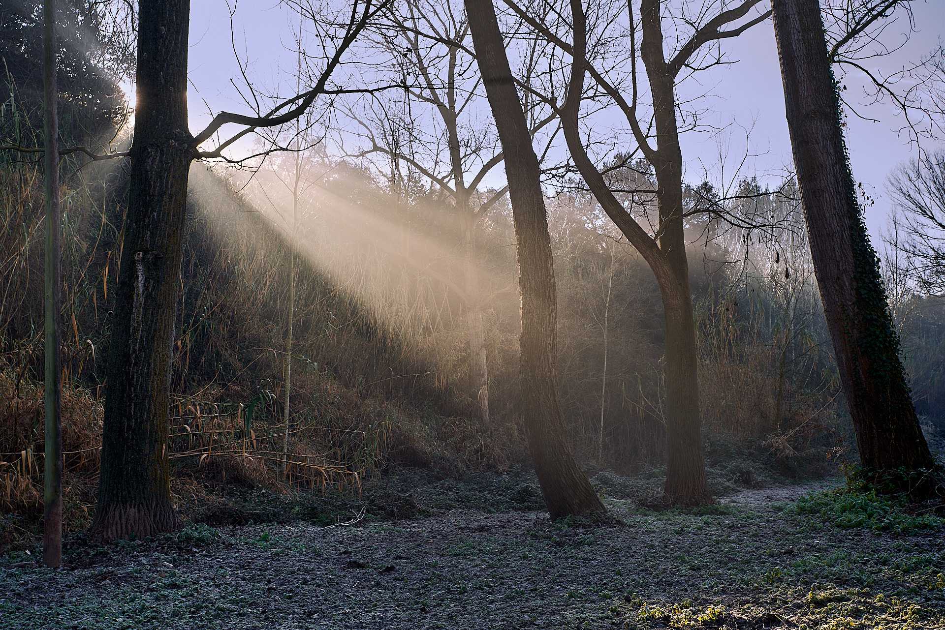 Masias 210116 0078